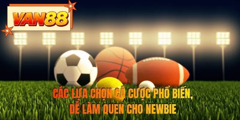 Các lựa chọn cá cược phổ biến, dễ làm quen cho newbie