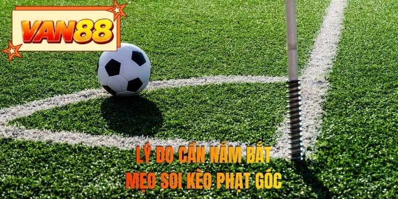 Lý do cần nắm bắt mẹo soi kèo phạt góc