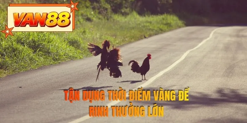Tận dụng thời điểm vàng để rinh thưởng lớn
