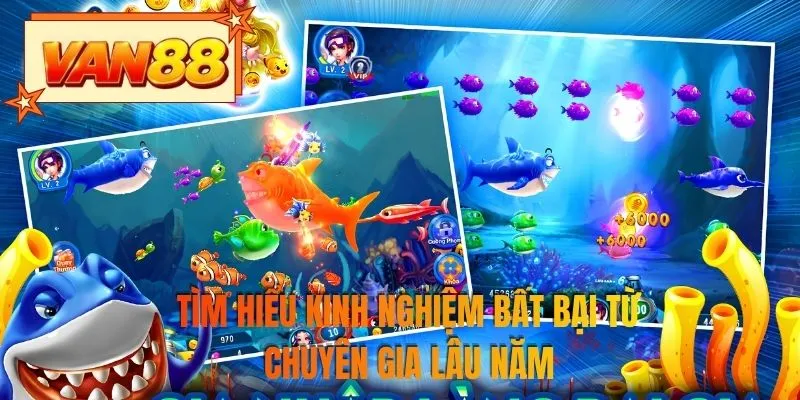 Tìm hiểu kinh nghiệm bất bại từ chuyên gia lâu năm